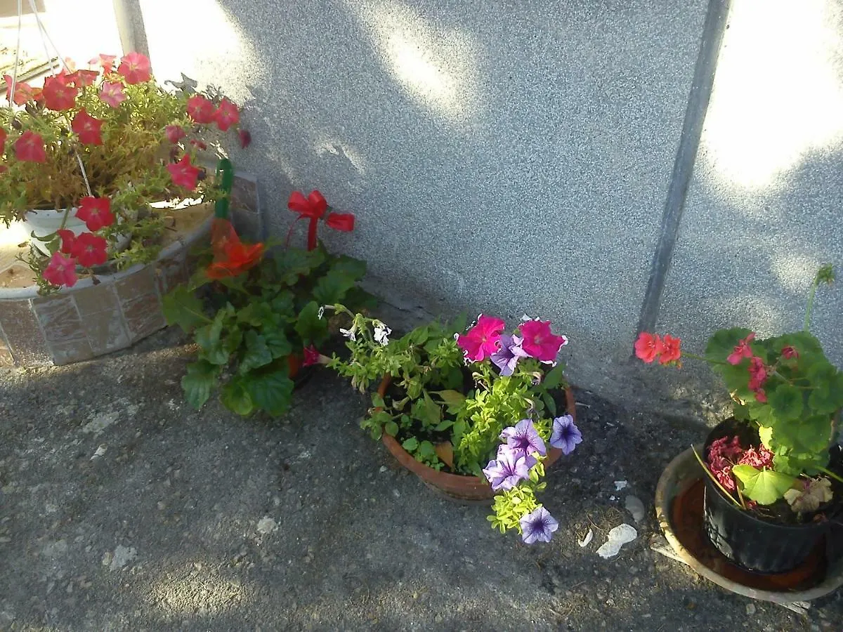 Apartman Svilno